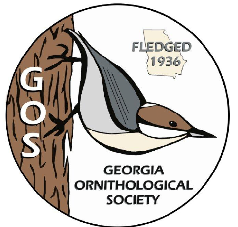 Georgia Ornithological Society logo